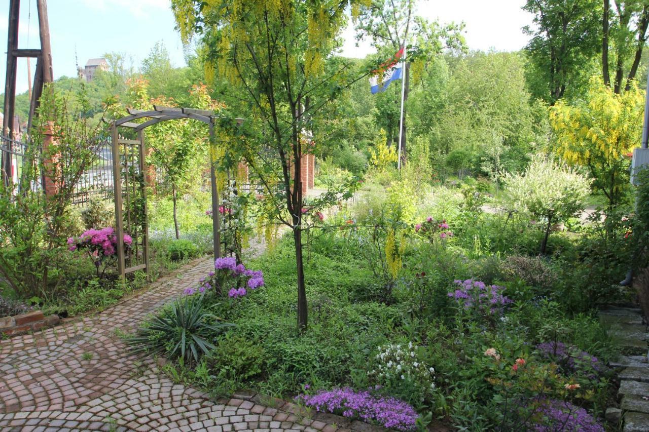 Homestay Oranje Bolkow
