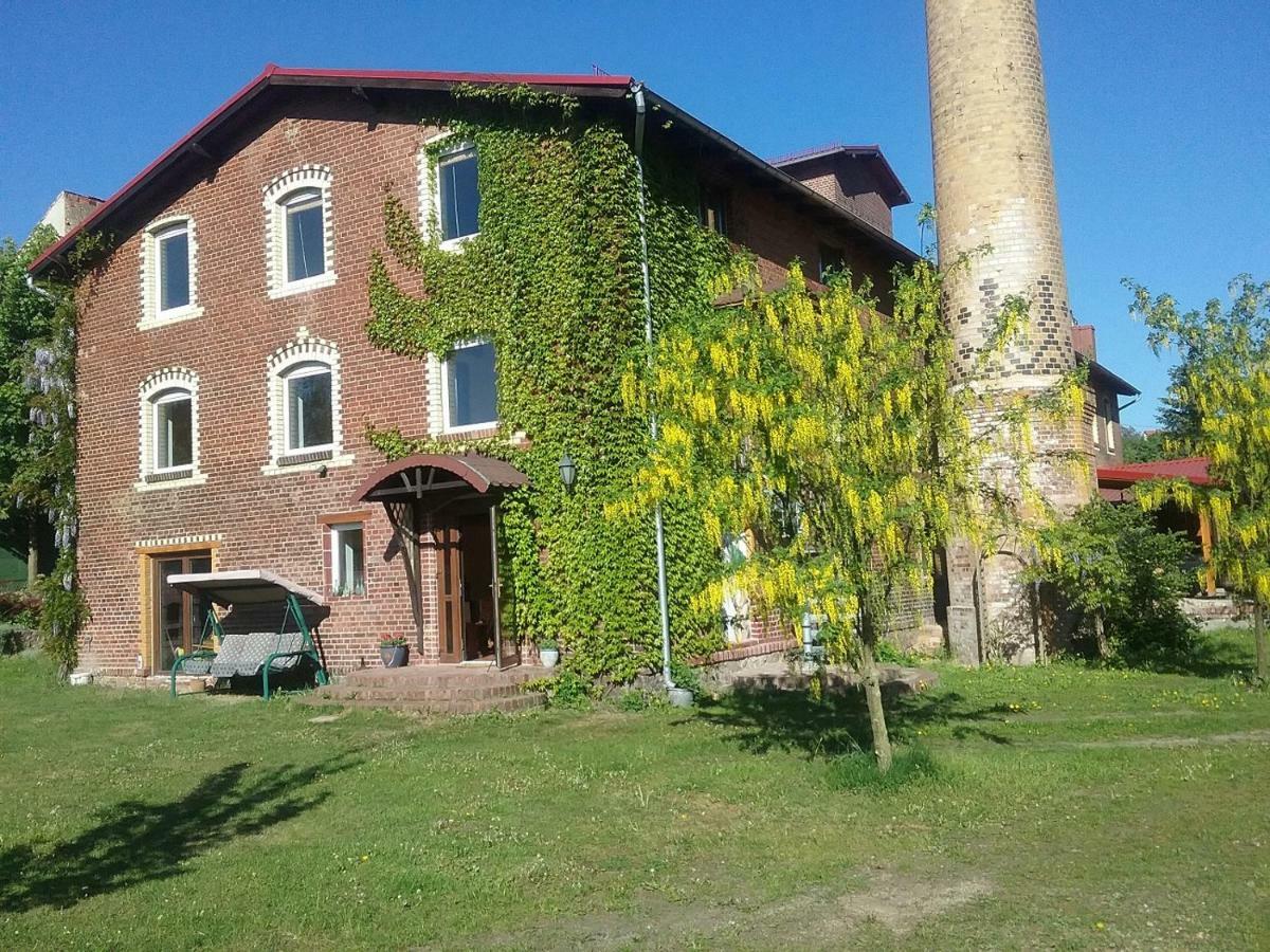 Homestay Oranje Bolkow